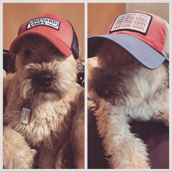 NEW ITEMS WEEKLY! Offers Welcome! - Picture 3 of 3